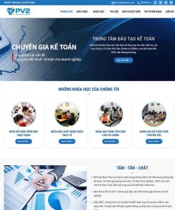 Theme WordPress kế toán 02