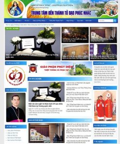 Theme WordPress tin tức 08