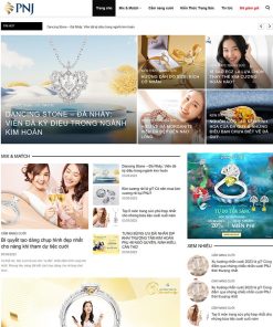 Theme WordPress tin tức 25