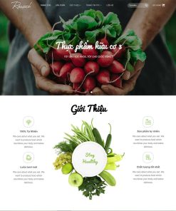 Theme WordPress thực phẩm sạch 28
